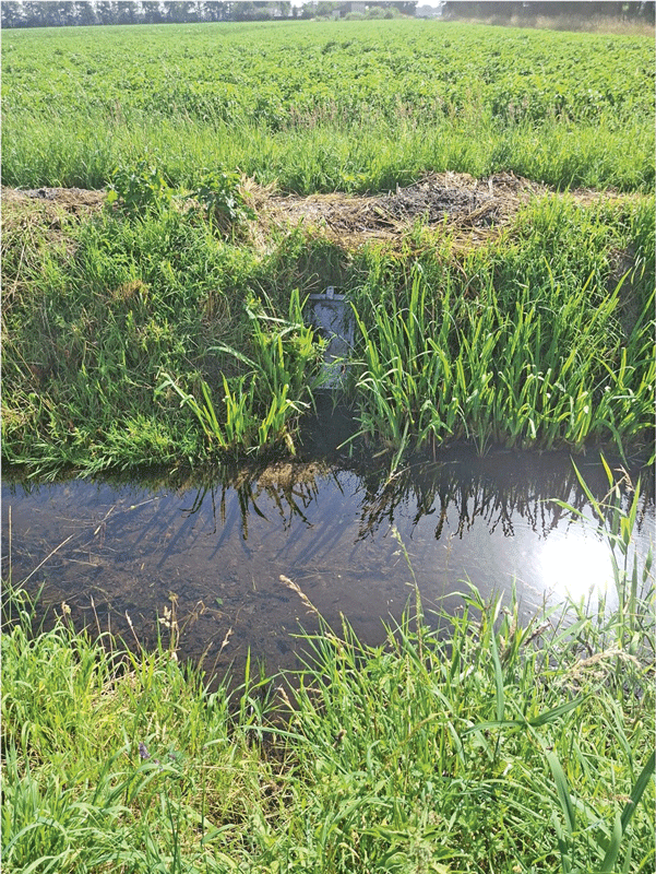 Besuch bei zwei Betrieben aus den Niederlanden
