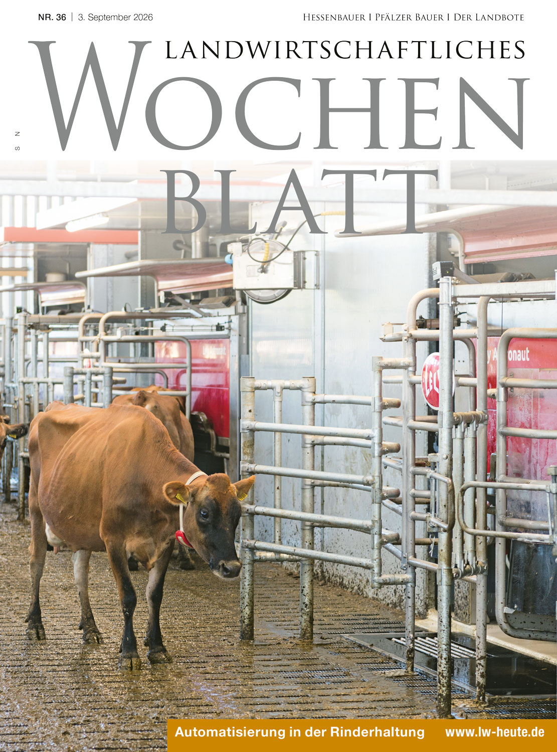 Ausgabe 36/2026