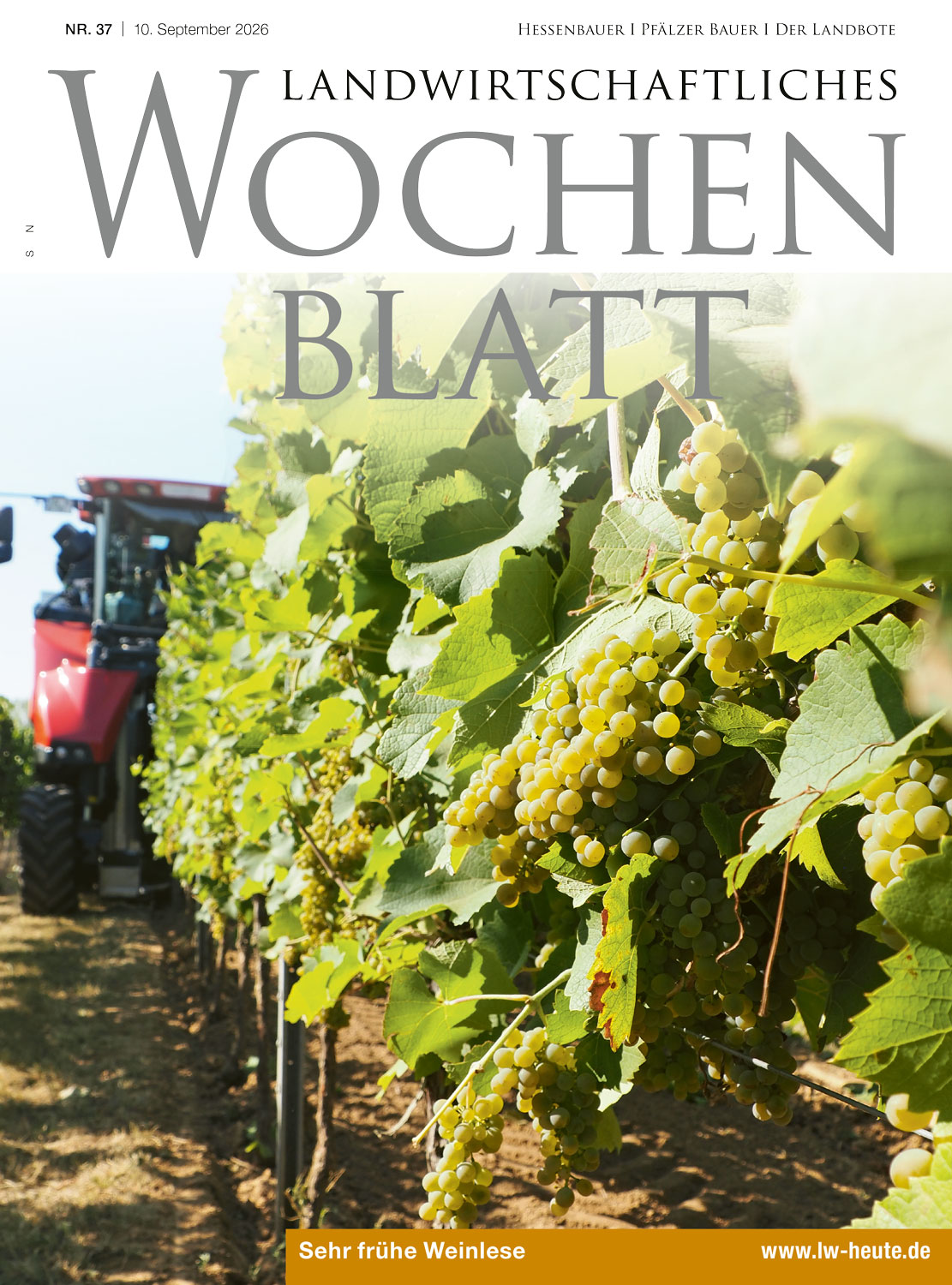 Ausgabe 37/2026