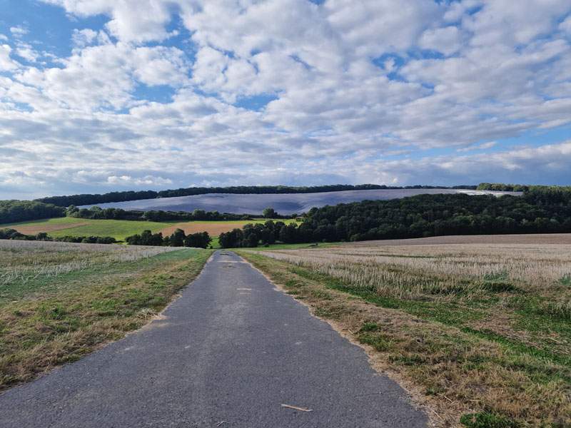 Landwirtschaft und Freiflächen-Photovoltaik