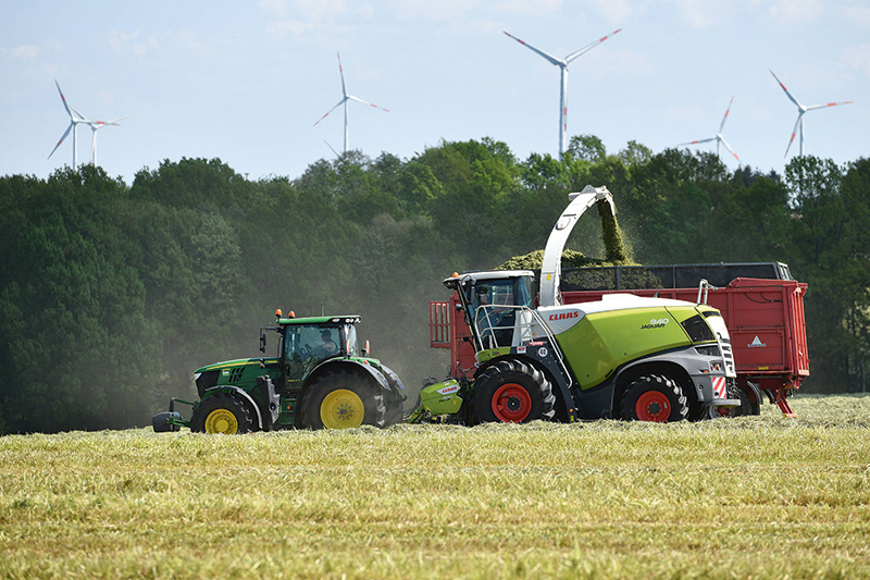 Rohproteingehalte gut, Energiegehalte sehr gut