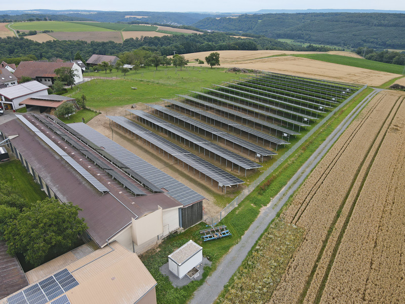 Wenn der Hühnerauslauf zum Solarpark wird 