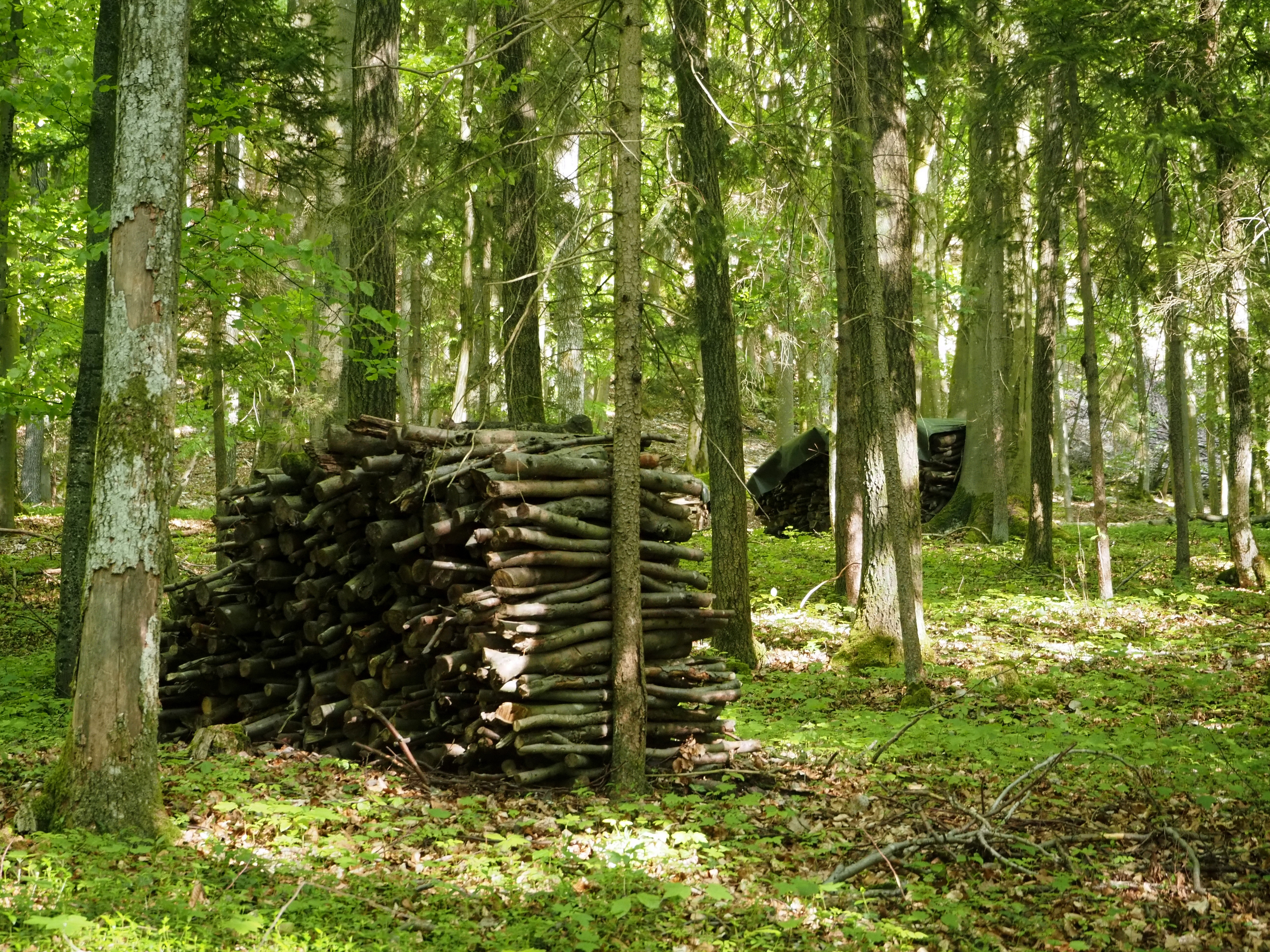 Submissionstermine für Rheinland-Pfalz