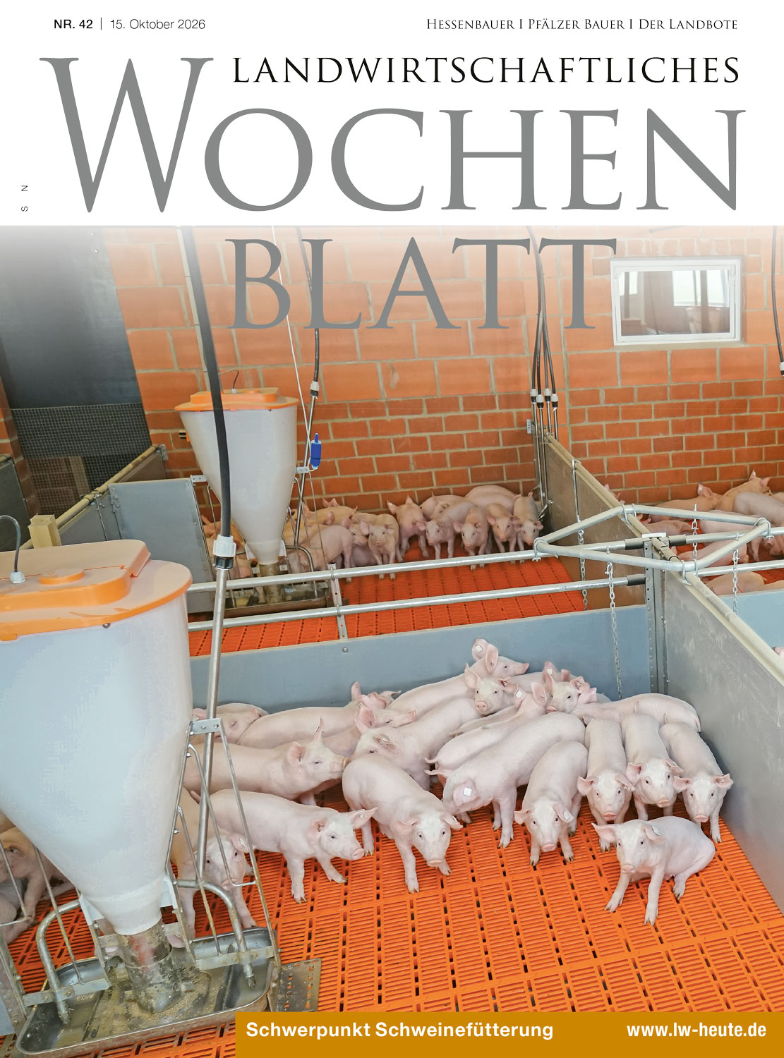 Ausgabe 42/2026